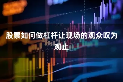 股票如何做杠杆让现场的观众叹为观止