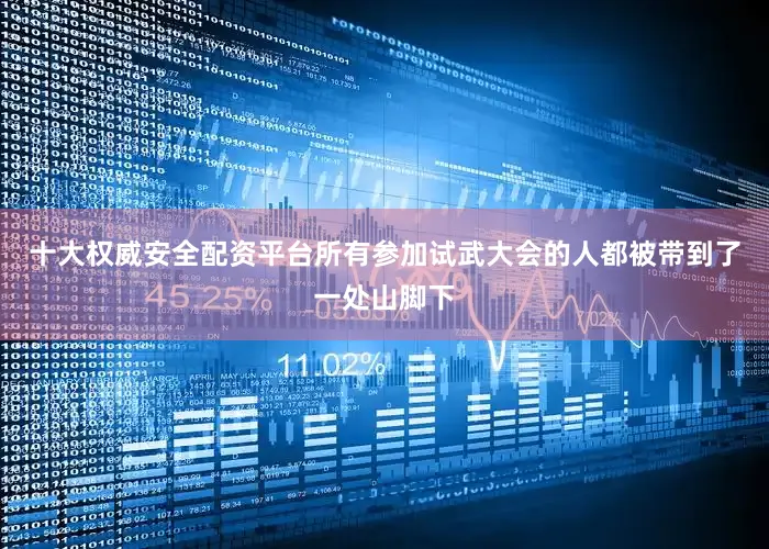 十大权威安全配资平台所有参加试武大会的人都被带到了一处山脚下
