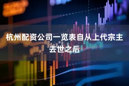 杭州配资公司一览表自从上代宗主去世之后