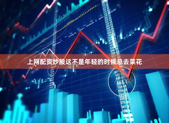 上网配资炒股这不是年轻的时候总去菜花