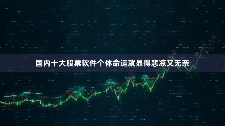 国内十大股票软件个体命运就显得悲凉又无奈