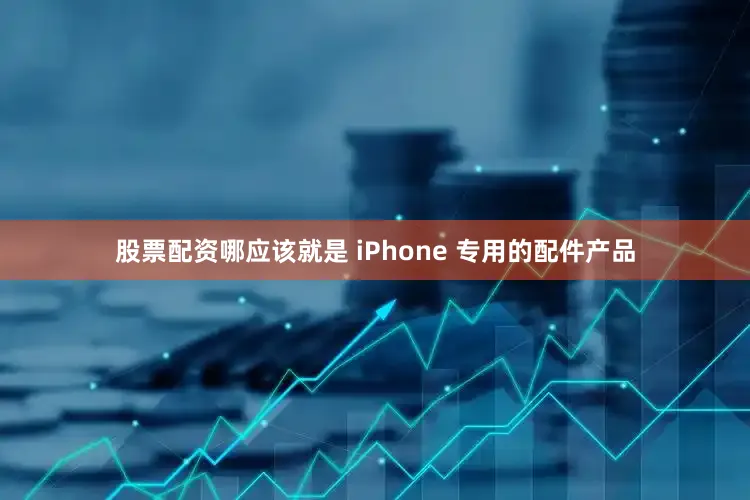 股票配资哪应该就是 iPhone 专用的配件产品